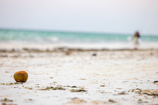 Tropical beach panoramic landscape view
