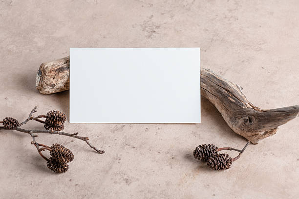 istock White card mockup on beige stone background with dry plant and boho decoration 2237560074