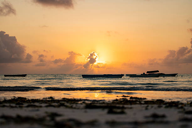 beach of Zanzibar at sunrise