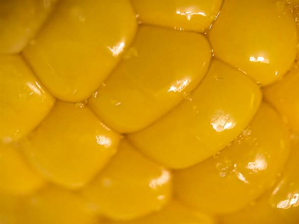 Corn, macro photography, texture of corn grains, corn grains close up, background texture, corn vegetable, vegetable texture, for screensaver, for background, pattern