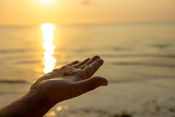 Woman holding a seashell by the beach