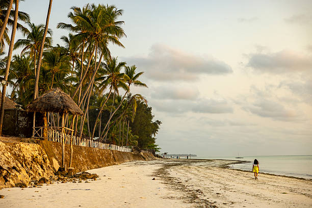 Idyllic tropical beach with coconut palms facing the turquoise sea, Nungwi, Zanzibar, Indian Ocean, Africa