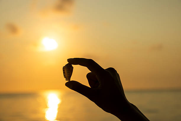 Woman holding a seashell by the beach