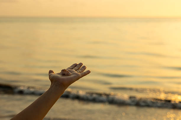 Woman holding a seashell by the beach