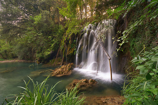 Waterfall flowing over rocks into a tranquil forest pond with lush green foliage.