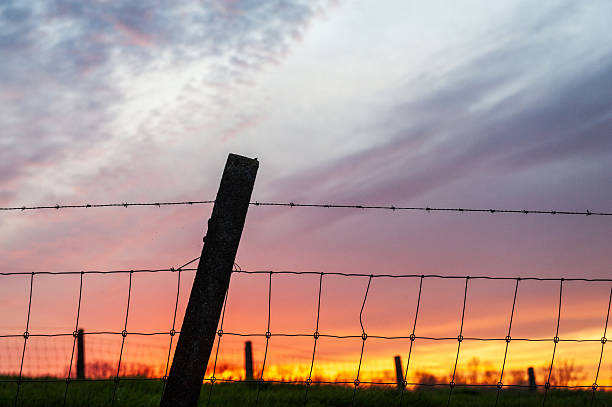 Close-up of a stunningly beautiful sunset in east flanders.