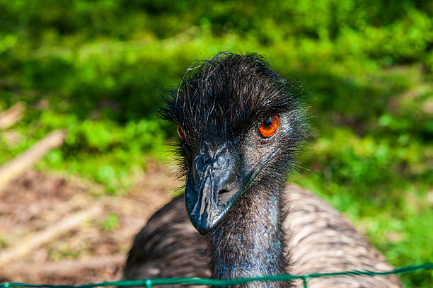 istock Scene from the flemish country side 2237582598