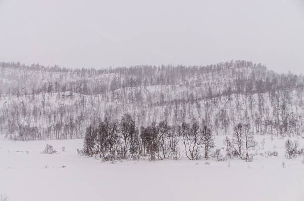 A beautiful norwegian snowlandscape in the mountains near Bodo, in winter.