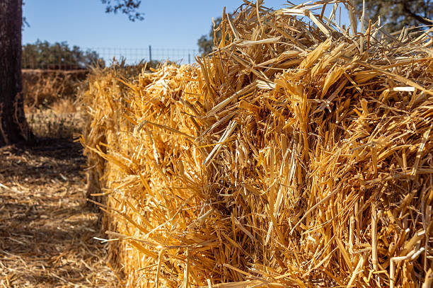 Golden Texture: Close-up of a Hay Bale's Surface.