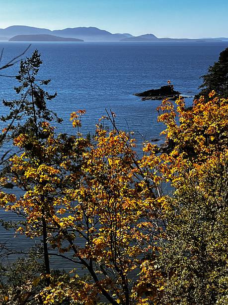 istock Larrabee State Park is Washington’s first state park and is located in the Chuckanut Mountains along the Salish Sea. It is known for its stunning coastline, unique rock formations, and amazing views of the San Juan Islands. 2237603611