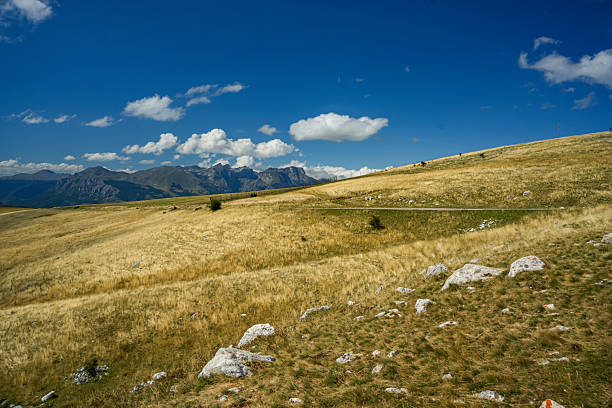 Panoramic view, hiker sitting on top of the mountain and enjoying the view, using smart phone.