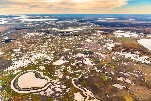 The Brazoria National Wildlife Refuge, established in 1969, is a 44,000 acre reserve located along the Gulf coast of southeast Texas near Galveston shot via helicopter from an altitude of about 1000 feet.