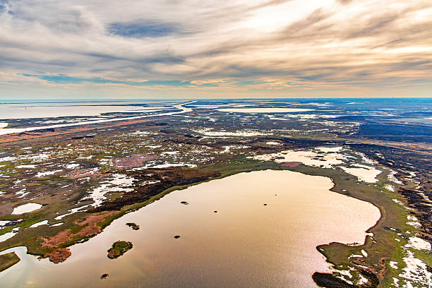 The Brazoria National Wildlife Refuge, established in 1969, is a 44,000 acre reserve located along the Gulf coast of southeast Texas near Galveston shot via helicopter from an altitude of about 1000 feet.