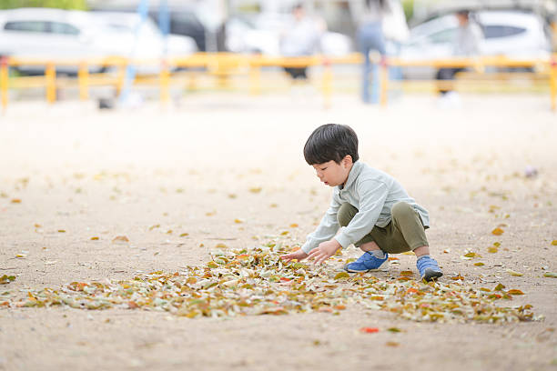 A young boy is playing in the dirt, picking up leaves. The scene is peaceful and calm, with the boy enjoying his time outdoors
