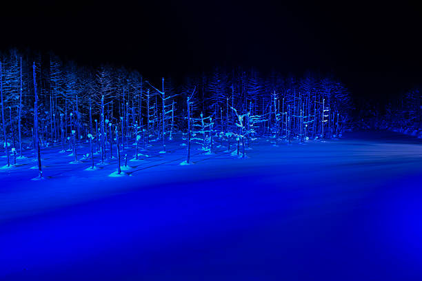 Illuminated snow-covered lake at night in Biei