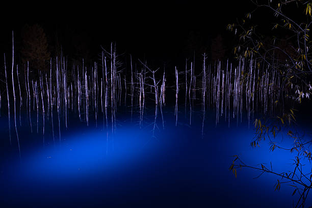 Illuminated blue pond in early winter