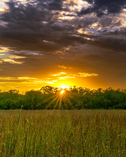 istock Colorful sunset over Florida wetlands 2237628975