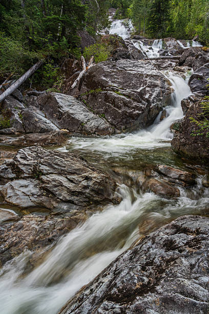 istock River and Waterfall Vancouver Island 2237629039