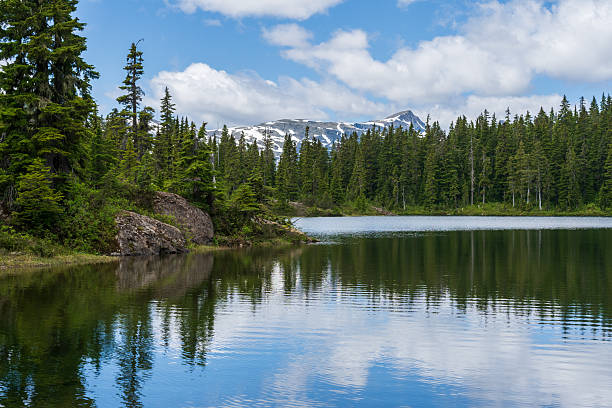 istock Paradise Meadows Mount Washington Stathcona Park 2237629050
