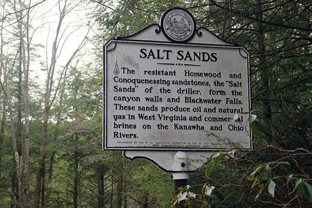 istock Historical marker titled “Salt Sands” 2237632184