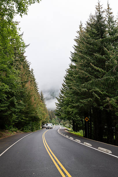 istock Traveling Through Alaska in Summer 2237642098