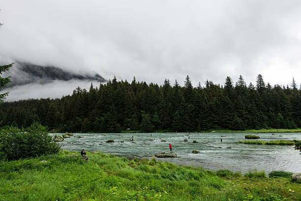 The beauty of Alaska’s Summer can be seen in the mountains, Alaska.