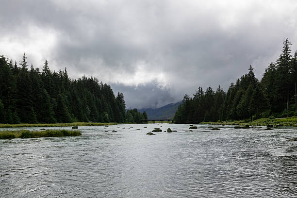 istock Traveling Through Alaska in Summer 2237642111