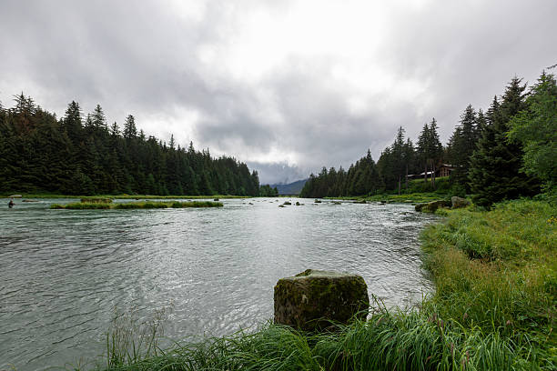 istock Traveling Through Alaska in Summer 2237642118