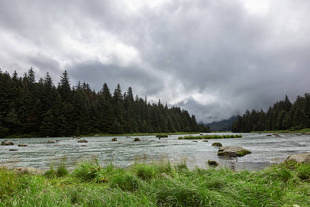 istock Traveling Through Alaska in Summer 2237642142