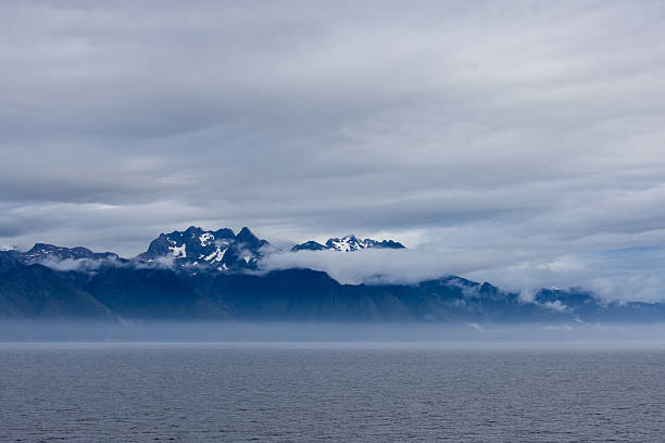 Heavy mist over a fjord shoreline forest area.