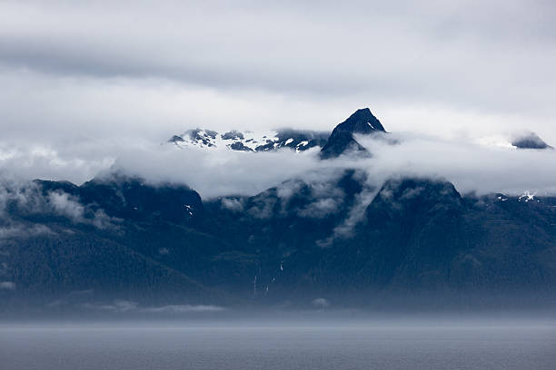 Heavy mist over a fjord shoreline forest area.