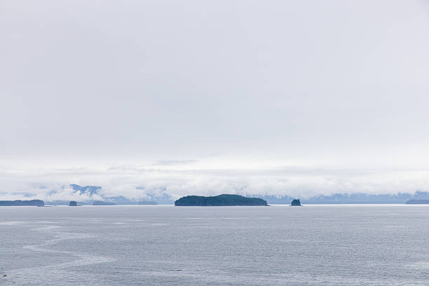 Heavy mist over a fjord shoreline forest area. Tree island in the center.