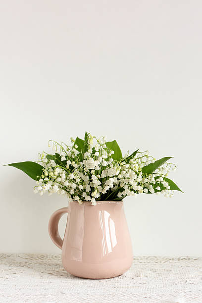 istock Lily of the valley bouquet in pink ceramic pitcher on a white background 2237660266
