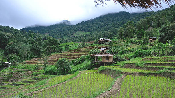 istock Rice terraces and wooden hut on cloudy day 2237660654