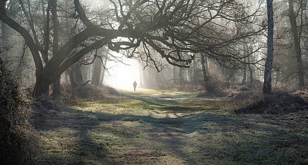 istock Misty Woodland Walk with Silhouette, England 2237661981