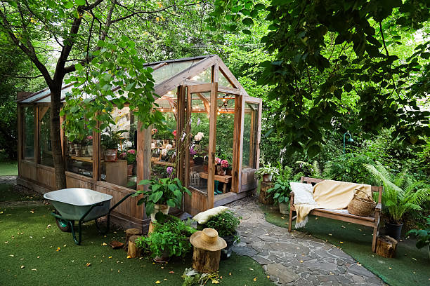 istock Beautiful greenhouse surrounded by lush greenery in a peaceful garden setting 2237662178