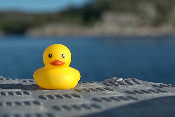 istock Rubber duck on a raft by the sea 2237668328