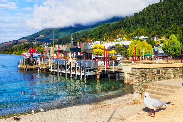 istock NZ Queenstown wharf seagull 2237672948
