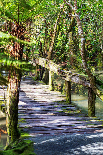 istock A weathered wooden bridge covered in moss stretches across a serene stream 2237680583