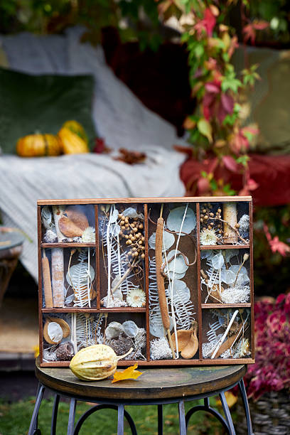 Rustic wooden box filled with dried flowers, seeds, leaves, and natural elements, placed on a garden table with pumpkins and mugs in the background. Perfect autumn decor and botanical still life inspiration