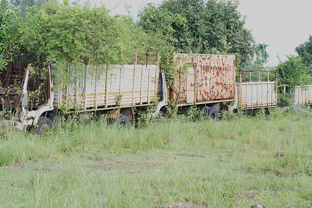 old rusted trucks abandoned in grassy field, partially overtaken by wild vegetation and trees