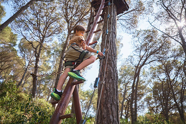 Boy climbing a wooden ladder in an adventure park wearing a safety harness.