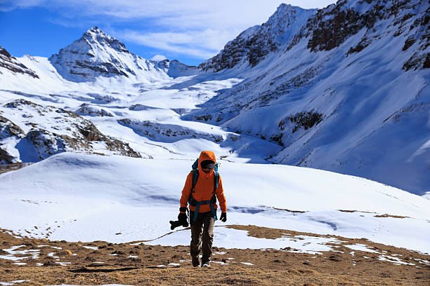A breathtaking view of the Valley of Flowers National Park, located in Chamoli district of Uttarakhand, India.
