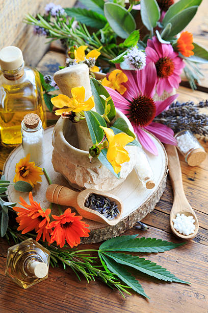 istock Homeopathy: the power of nature 2237686997