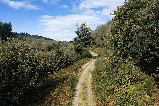 Pathway in Green Park
