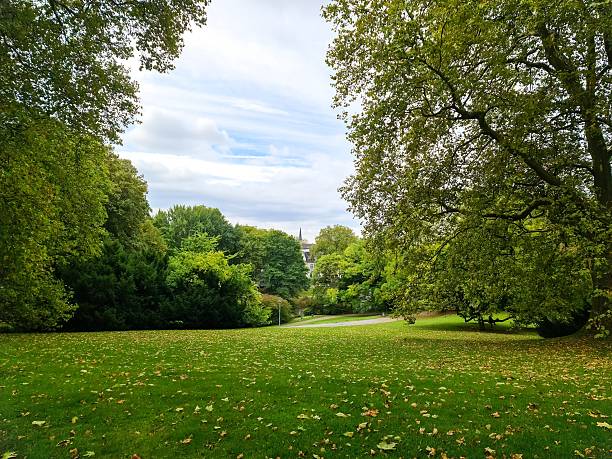 istock Park landscape with scattered autumn leaves on green grass 2237697406