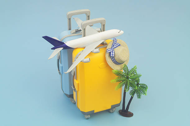 istock Two travel suitcases with beach hat, coconut palm and airplane model on blue background. 2237698049