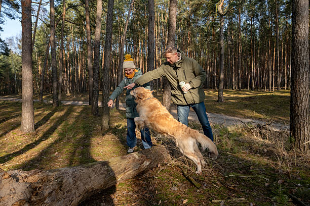 istock Dad And Daughter Are Walking In The Forest 2237699439