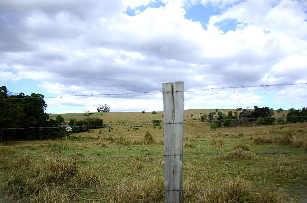 istock The field and heavy clouds 2237702944