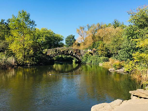 istock Central Park New York City 2237704770